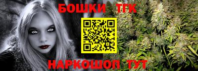 ECSTASY Новозыбков