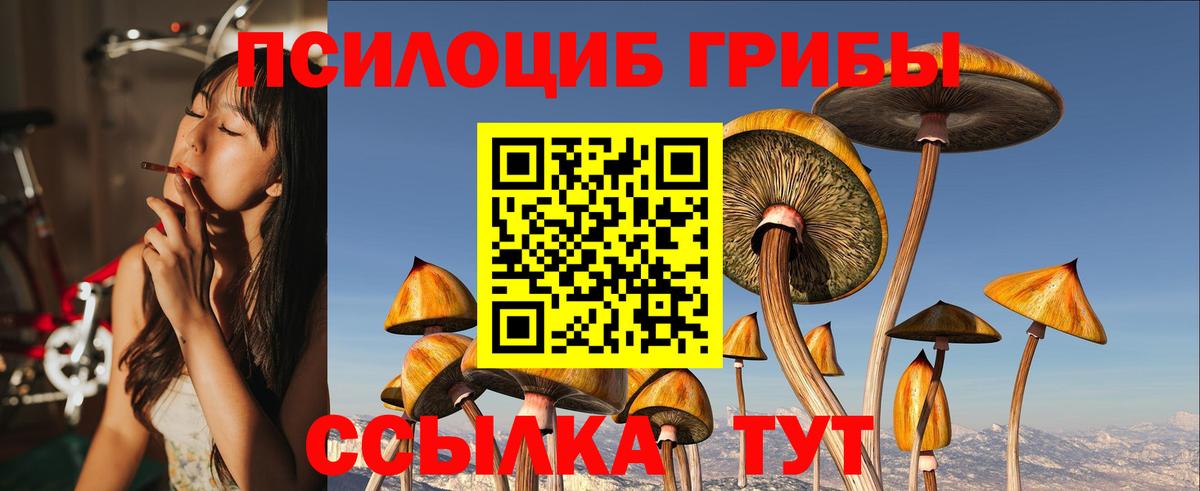 Псилоцибиновые грибы Psilocybine cubensis Севастополь