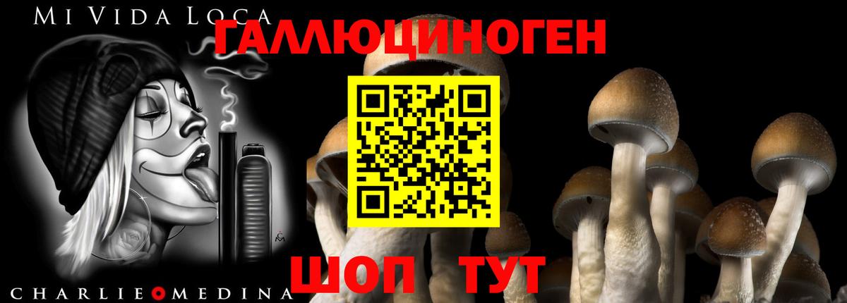 Севастополь  Галлюциногенные грибы прущие грибы  Вход с VPN 